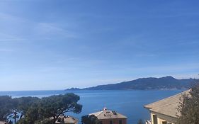 Mare E Portofino - Sea And Portofino